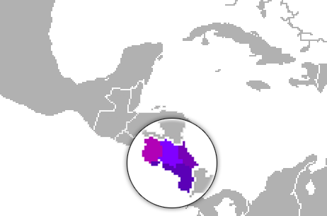 mapa variantes dialectos español costa rica costarricense